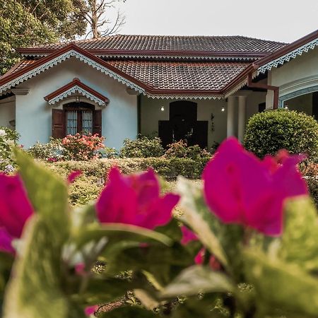 Kithulvilla Holiday Bungalow Kitulgala Zewnętrze zdjęcie