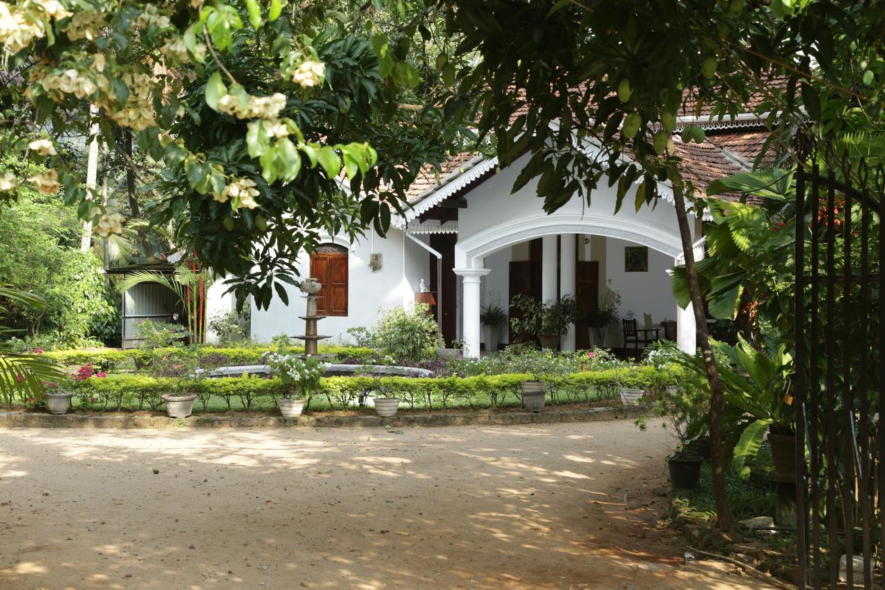 Kithulvilla Holiday Bungalow Kitulgala Zewnętrze zdjęcie